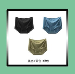 Ladies silk brief panties 