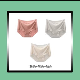 Ladies silk brief panties 