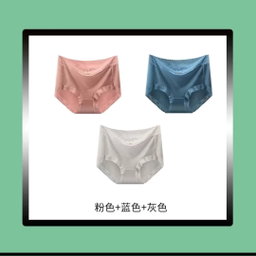 Ladies silk brief panties 