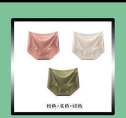 Ladies silk brief panties 