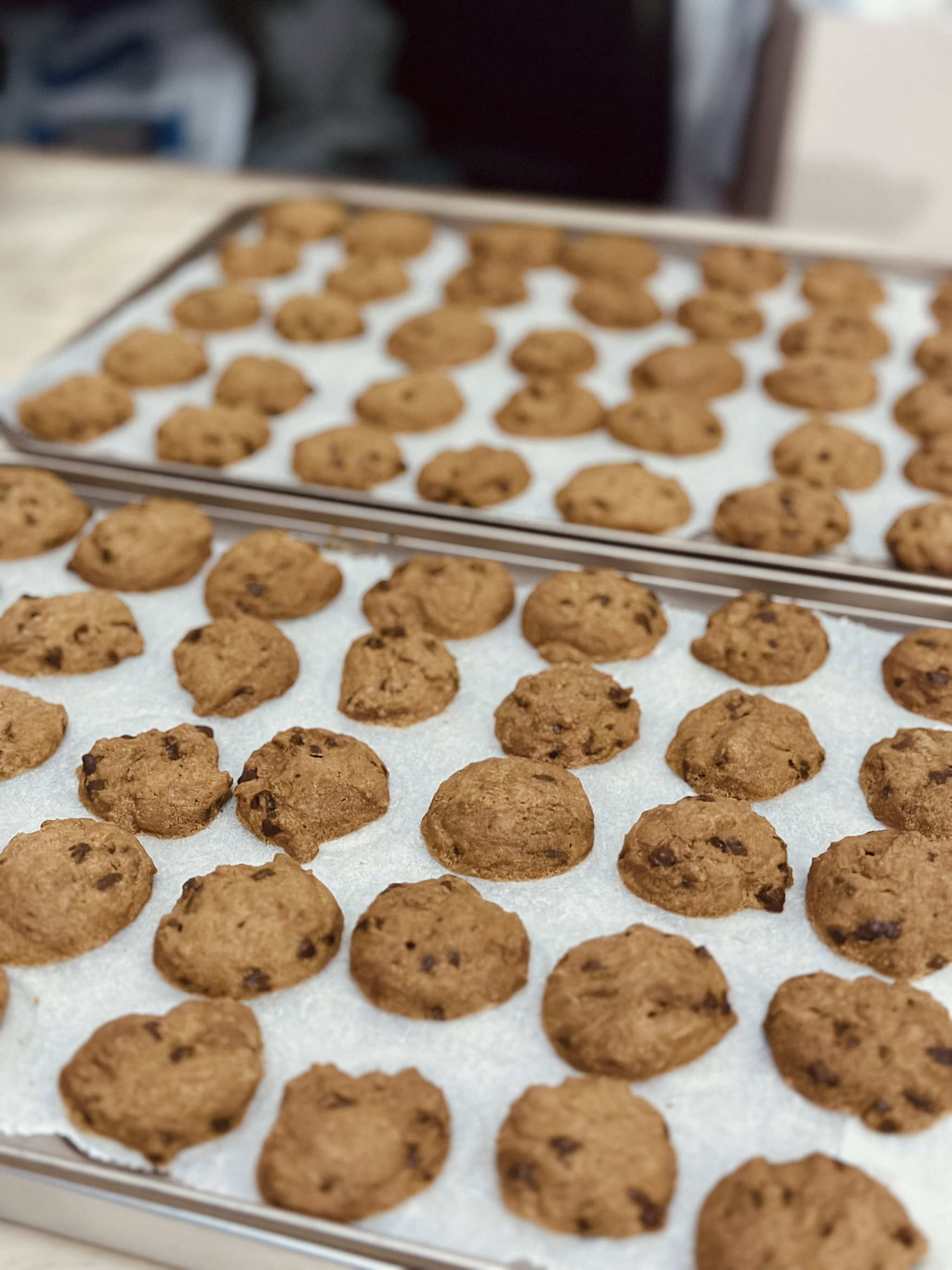 Chocolate Chip_2