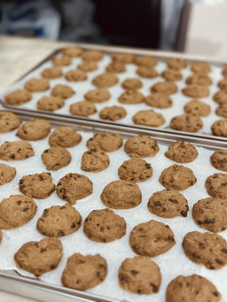 Chocolate Chip