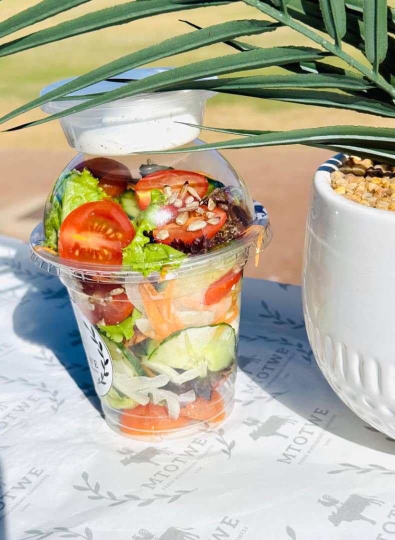 Fresh Veg Salad _0