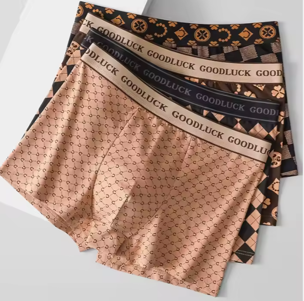 Sous vêtements hommes 