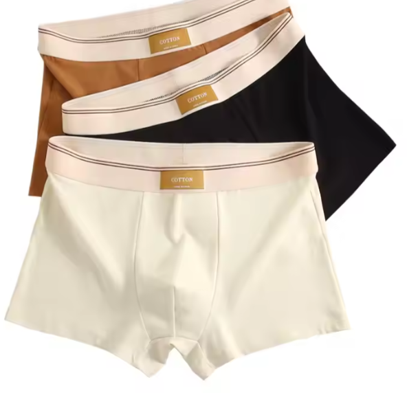 Sous vêtements hommes _3