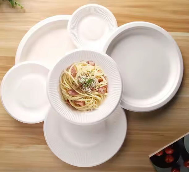 Plat à manger _3