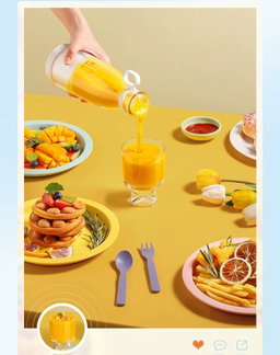 mini juicer