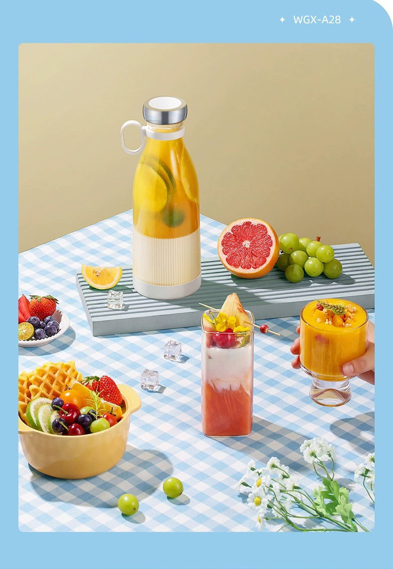 mini juicer_9