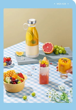 mini juicer