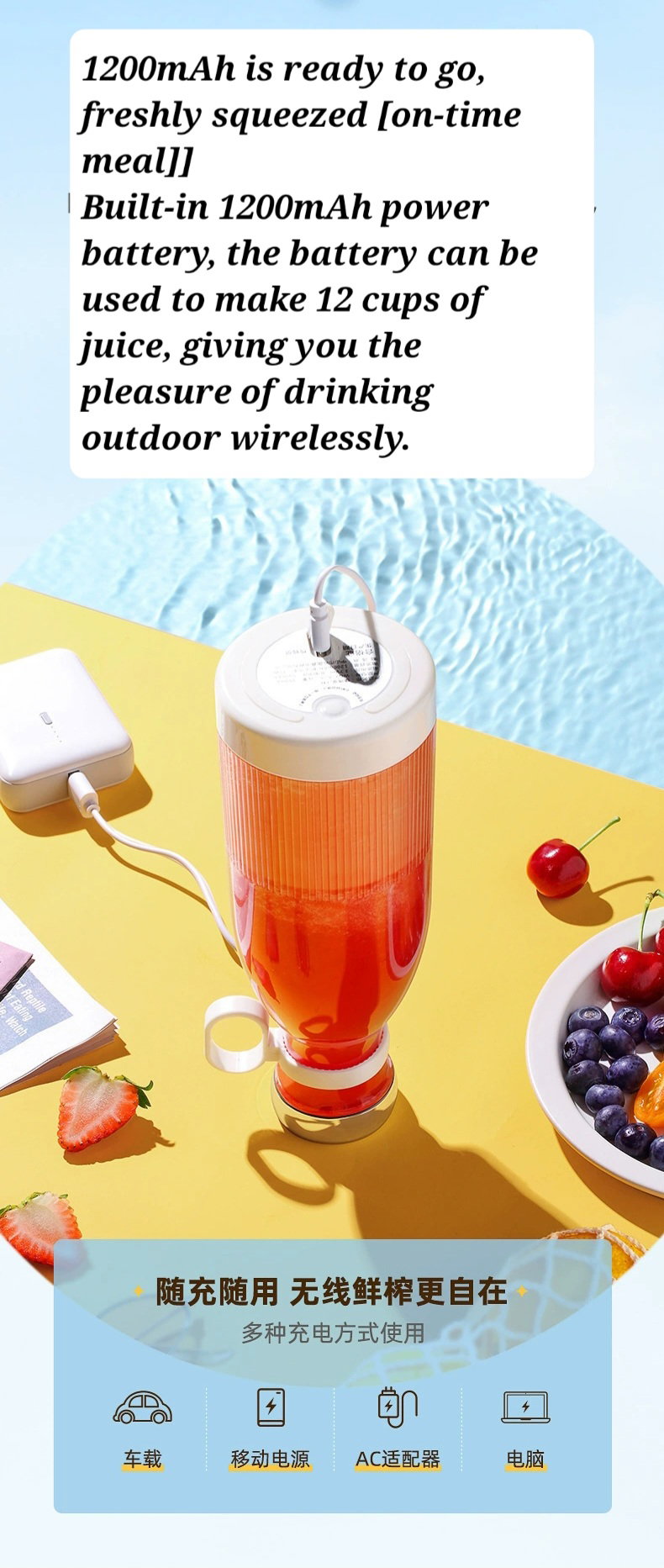 mini juicer_11