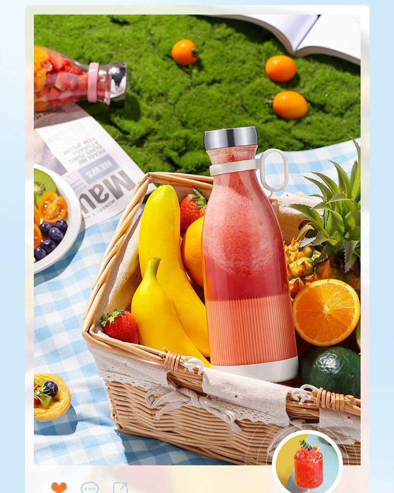 mini juicer_0