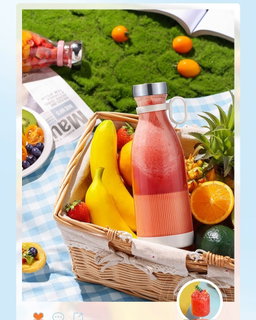 mini juicer