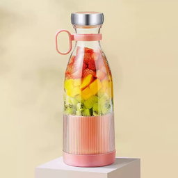 mini juicer