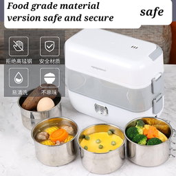 Electric lunch box 
