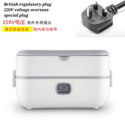 Electric lunch box 