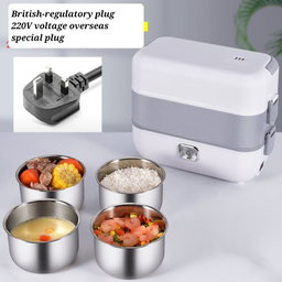 Electric lunch box 