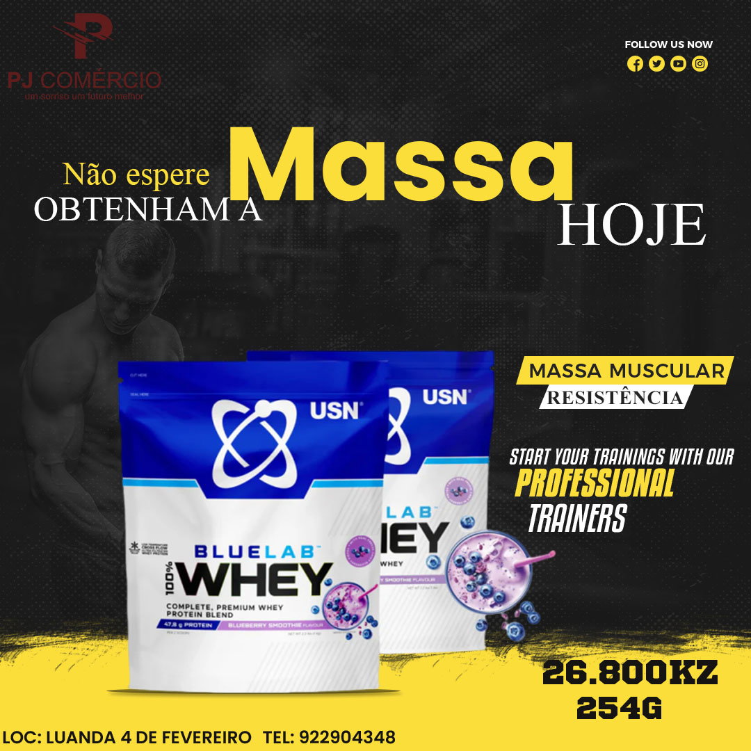 whey Protein USN_1