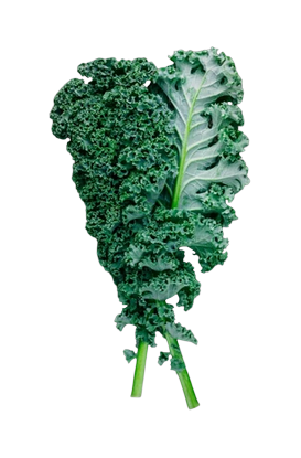 Blue Curly Kale 1.5 lb / Kale Rizado Azul 1.5 lb_0