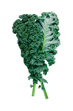Blue Curly Kale 1.5 lb / Kale Rizado Azul 1.5 lb