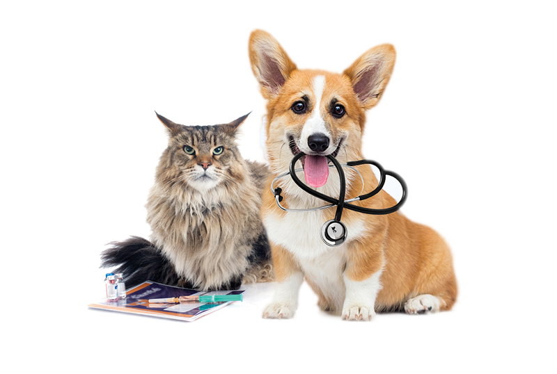 Vaccination Appointment_0