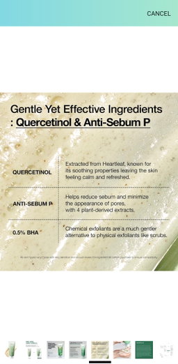 Anua Heartleaf Quercetinol Deep Cleansing Foam 