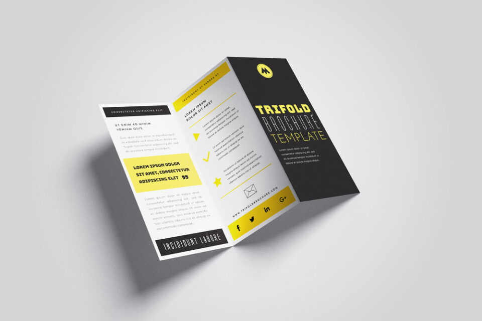 brochure