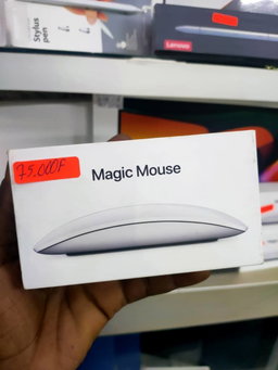 Apple Magic Mouse_article_N°:CAI_0039