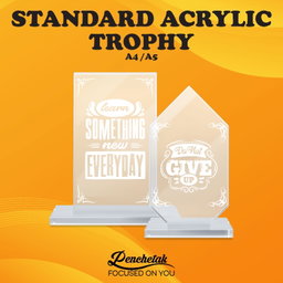 A4 Sized Acrylic Trophy