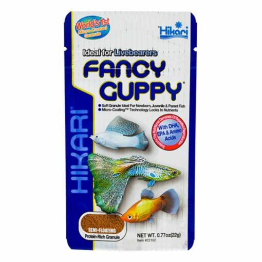Hikari Fancy Guppy