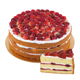 Chilled Cake - Strawberry Shortcake (slice)