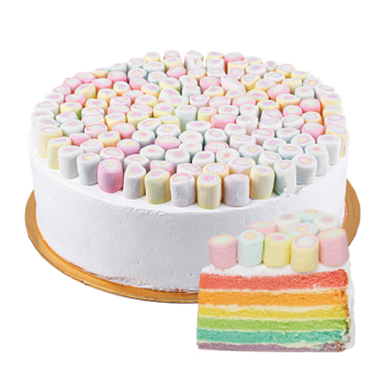 Chilled Cake - Rainbow Cake with Marshmallow (slice)_0