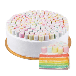 Chilled Cake - Rainbow Cake with Marshmallow (slice)