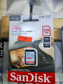 SanDisk Ultra SDXC UHS-I – Carte mémoire 256 Go_article_N°:CAI_0033