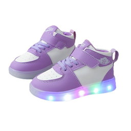 Frozen shoes 
