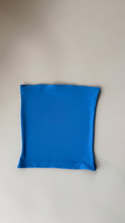 Skylar Bandeau Top 