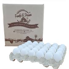 Huevo Blanco Primera Fundo El Peumo (Caja 180 uidades)