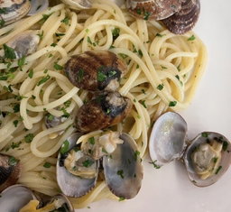 VONGOLE
