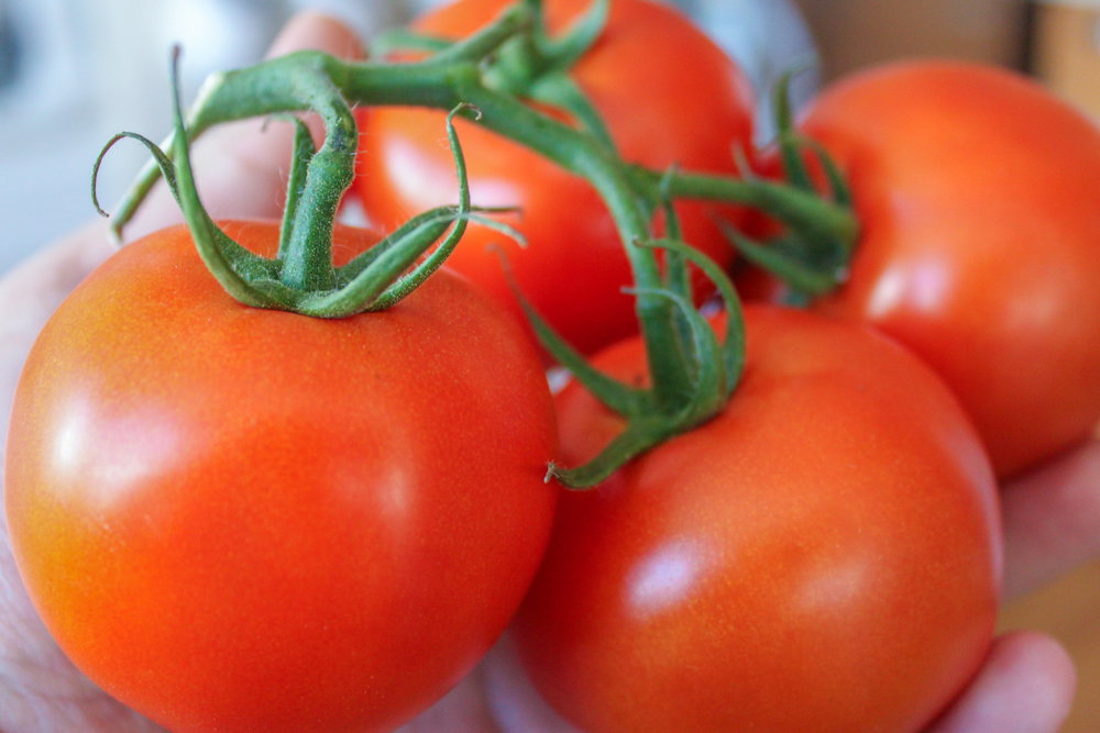 Nyanya / Tomatoes_0