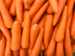 Karoti / Carrots