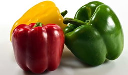Hoho / Bell Peppers
