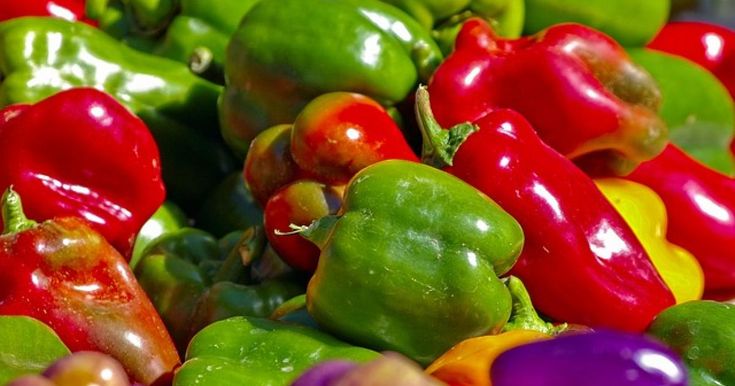 Hoho / Bell Peppers_4
