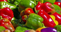 Hoho / Bell Peppers