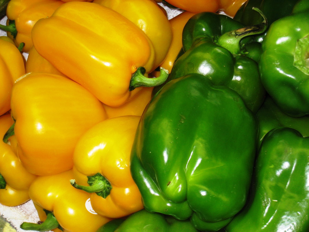 Hoho / Bell Peppers
