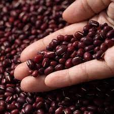 Maharage / Beans_1