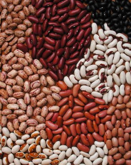 Maharage / Beans