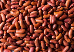 Maharage / Beans