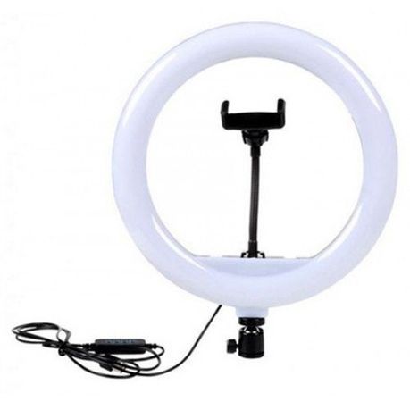 10 Inch Photography LED Ring Light With Stand_3
