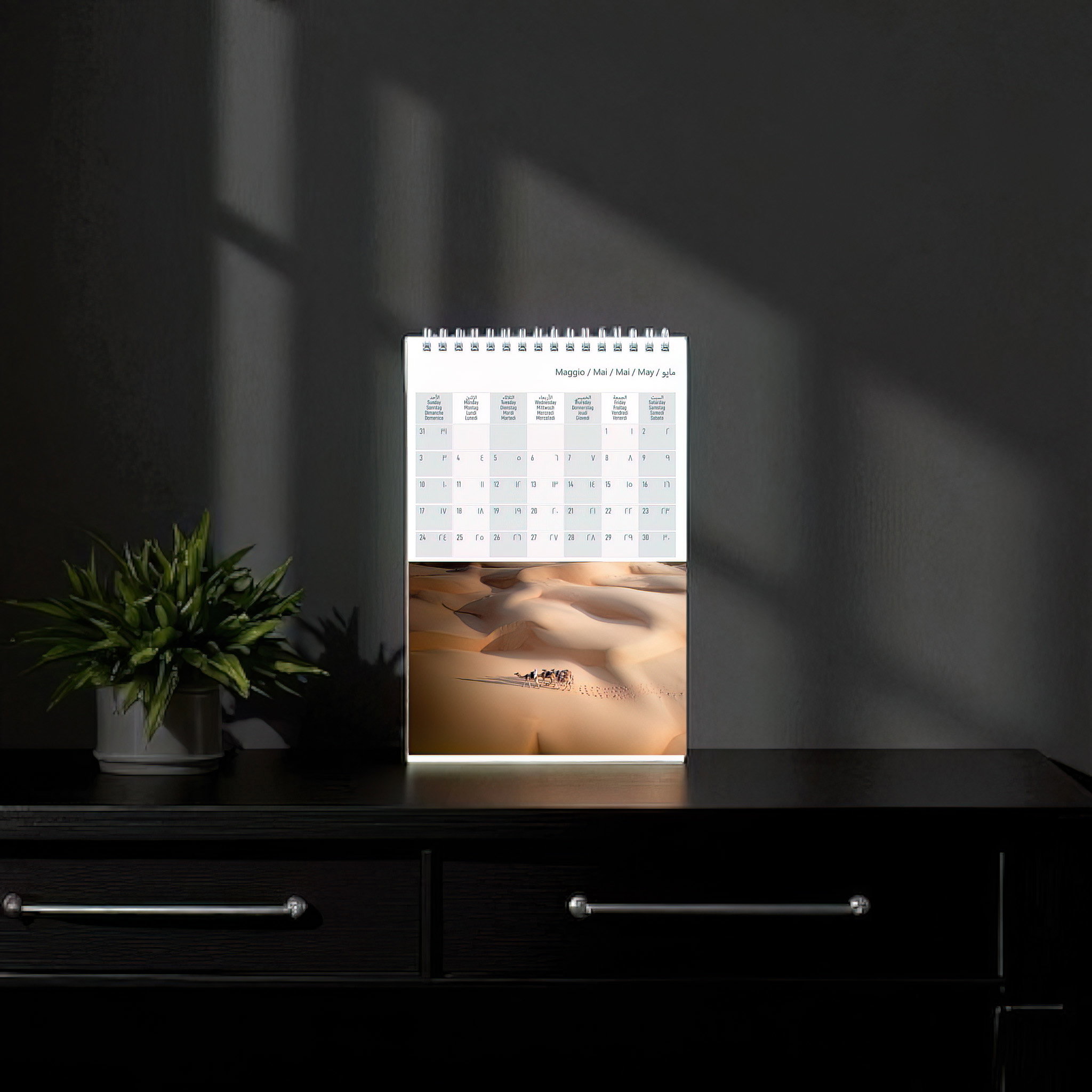 Oman Landscape Desk and Postcards Calendar 2026_2