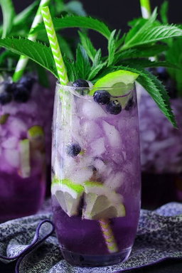 Lady Lavender Mojito