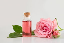 Base de Agua de Rosas